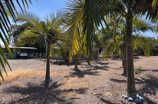 CHÁCARA DE 4.500m² COM NO MÁXIMO 200m DE ESTRADA CASCALHADA