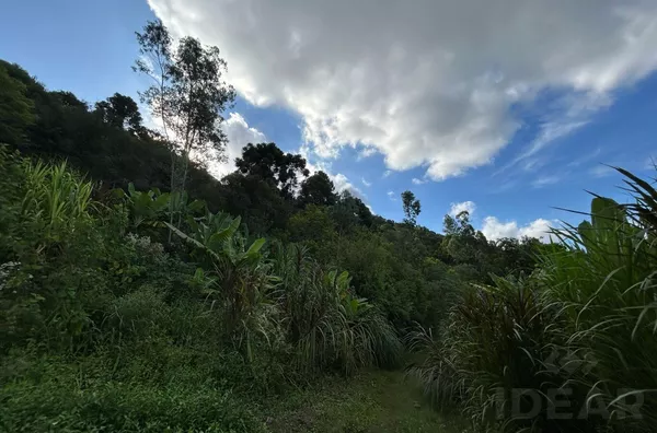 HÁ UMA IMENSIDADE DE DESCOBERTAS NESSES 14ha PARA REALIZAR