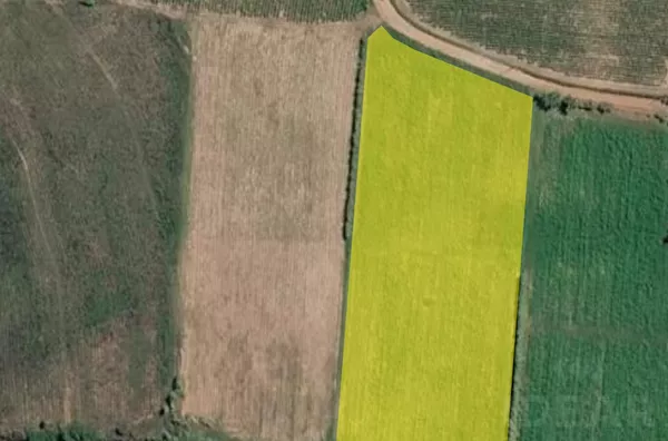 AREA DE TERRA DE 1ha  DE 100% DE PLANTIO
