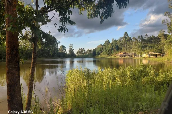 ÁREA DE TERRA COM ESPAÇO PARA ECOTURISMO E MUITA ÁREA PARA A CULTURA DO REFLORESTAMENTO