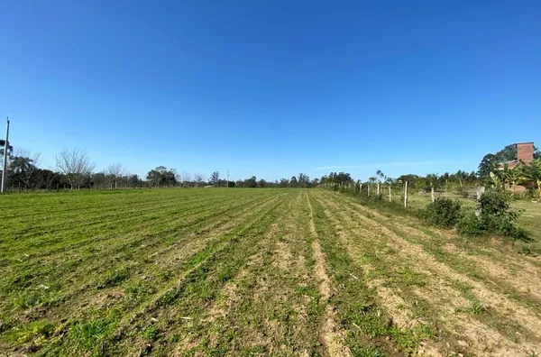 SEU NOVO PROJETO DE VIDA COMEÇA AQUI, 1ha DE ÁREA PARA O DESFRUTE DA FAMÍLIA. VENHA CONHECER!