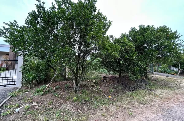 TERRENO COM 15,5m DE FRENTE E MUITO ESPAÇO PARA SEU NEGÓCIO