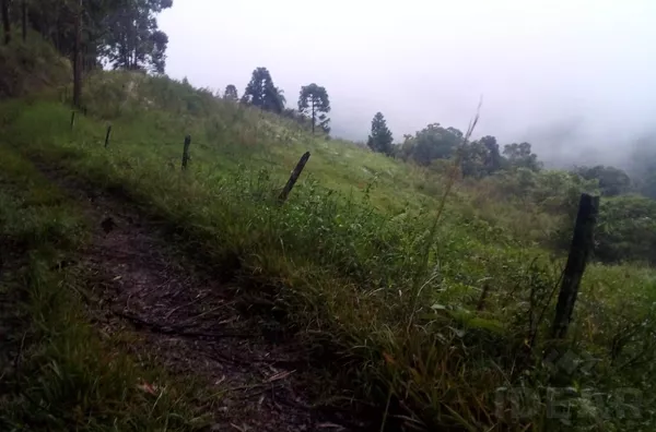 ÁREA DE TERRA DE 8,5ha PARA PLANTAR, CRIAR ANIMAIS E VIVER MUITO BEM NO MEIO AMBIENTE