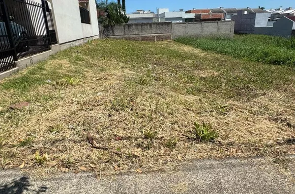 TERRENO BEM LOCALIZADO COM FRENTE ASFÁLTICA