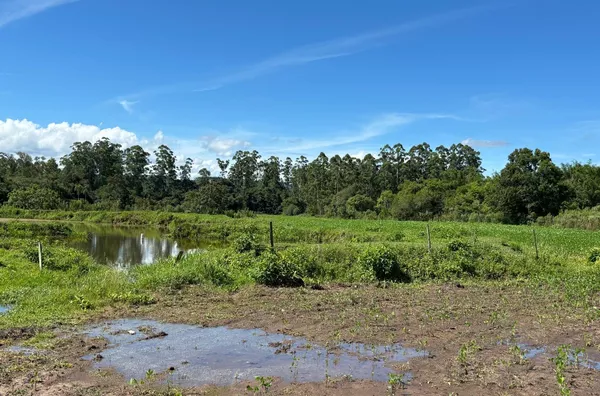DESCONECTE-SE DO ESTRESSE E CONECTE-SE COM A NATUREZA