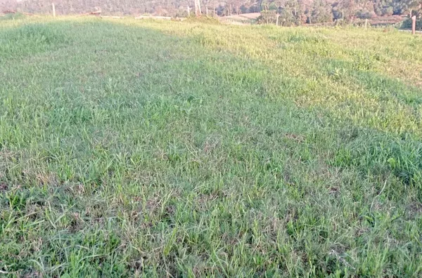 ESPAÇO DE SOBRA PARA REALIZAR SEUS SONHOS: horta, pomar e piscina