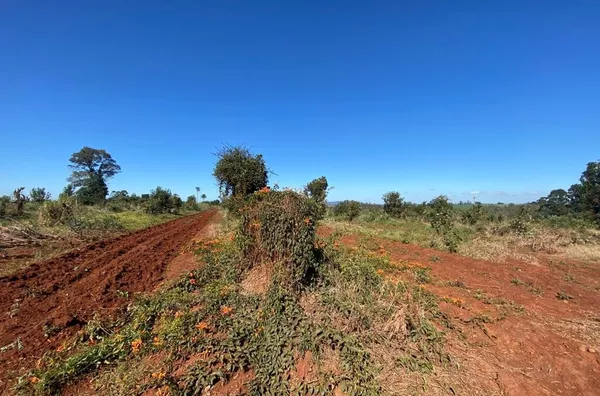 ÁREA DE TERRA BEM PRÓXIMO DA VILA PALANQUE, COM 100% DA ÁREA PARA PLANTIO