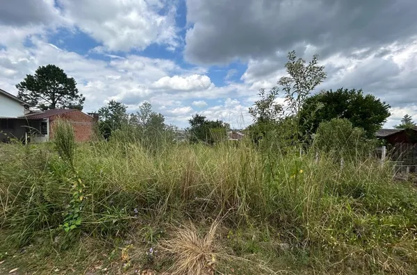 LINDO TERRENO COM MUITO ESPAÇO PARA VOCÊ CONSTRUIR E REALIZAR SEU SONHO