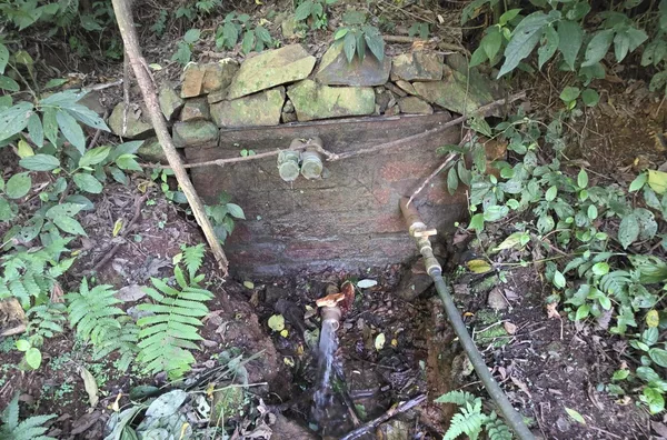 RESPIRE FUNDO E DEIXA A NATUREZA CURAR VOCÊ!