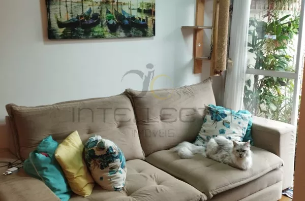 Apartamento para venda, 2 quarto(s),  Cambuci, São Paulo