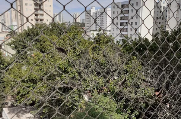 Apartamento para venda, 1 quarto, 1 vaga de garagem - Ipiranga, São Paulo