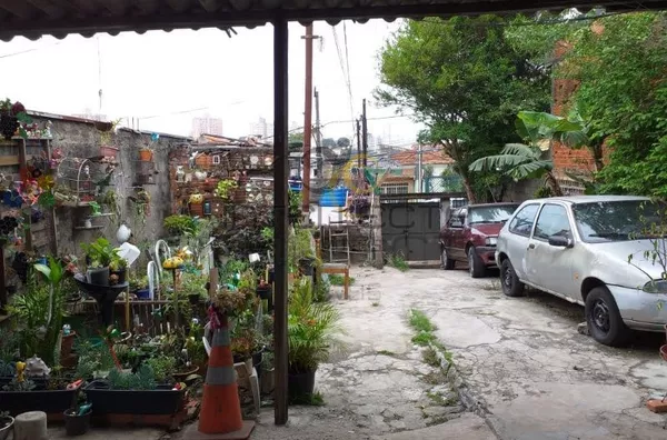 Terreno para venda com 2 casas e 6 vagas de garagem - Jardim Previdência, São Paulo