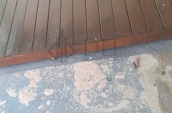 Sala comercial térrea para aluguel,  Vila Itapura, Campinas