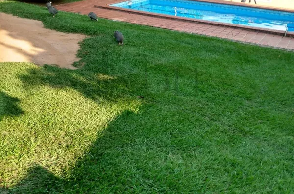 Chácara para venda, 14 quarto(s),  Parque Luciamar, Campinas