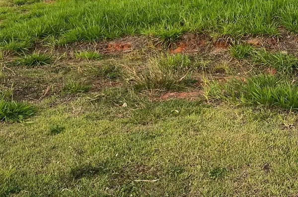 Terreno para venda, com 357m2,  no Residencial La dolce vita Jaguariúna