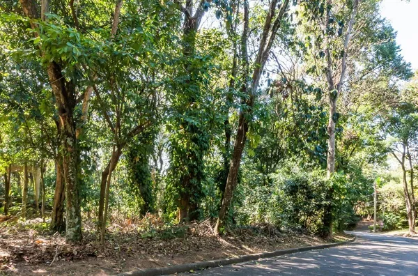 Terreno para venda,  Parque São Quirino, Campinas
