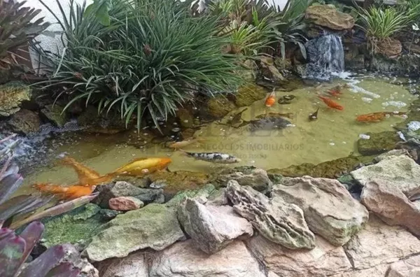 Apartamento para venda, 2 quarto(s),  Jardim Dom Vieira, Campinas