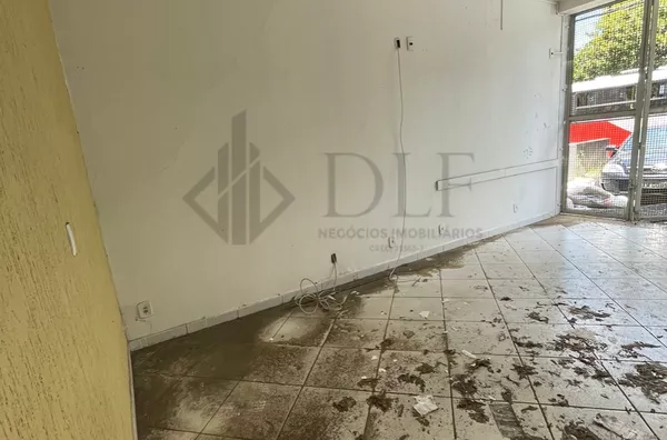 Casa para aluguel,  Vila Itapura, Campinas COM CARENCIA 