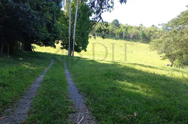 Sítio para venda, Pariquera-açu