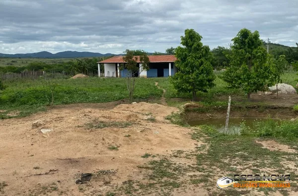 Chácara para venda,  Area Rural, Sertânia