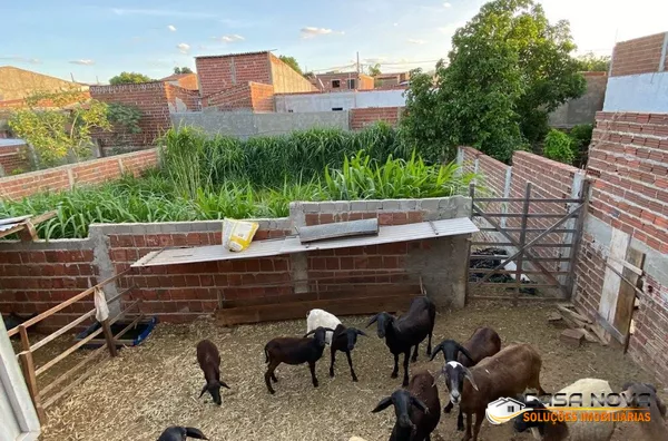  terrenos padrão para venda,  Frei Damiao, Sumé