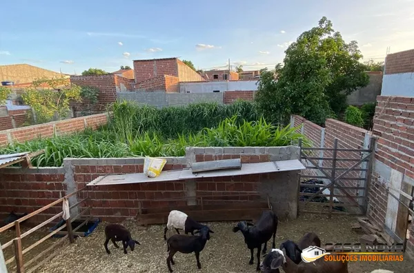  terrenos padrão para venda,  Frei Damiao, Sumé