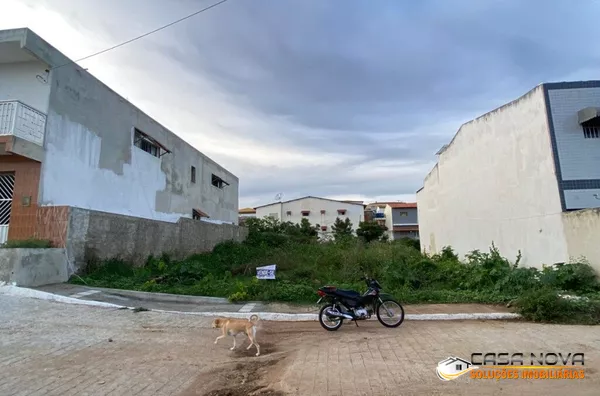- terreno padrão para venda,  Santa Rosa, Sumé