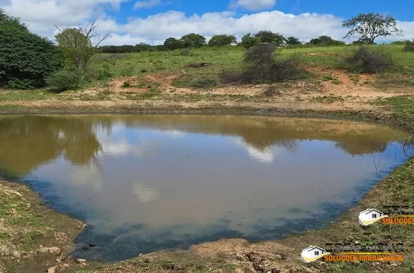 SITIO CACHOEIRINHA EM MONTEIRO-PB - Foto 10
