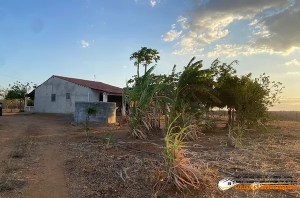 VENDE-SE SITIO CARNAUBINHA 17,00 HECTARES MONTEIRO-PB