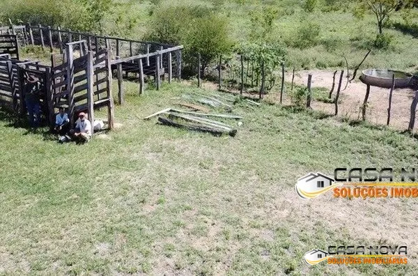 SITIO CACHOEIRINHA EM MONTEIRO-PB - Foto 3