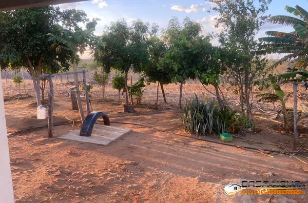 VENDE-SE SITIO CARNAUBINHA 17,00 HECTARES MONTEIRO-PB