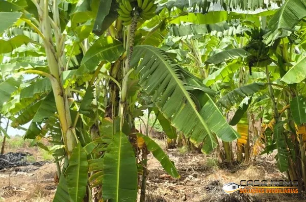 SITIO CRUZ EM BARRA DE SÃO MIGUEL