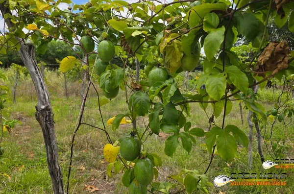 SITIO CRUZ EM BARRA DE SÃO MIGUEL