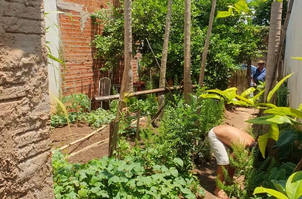 Terreno para venda,  Jardim Novo, Rio Claro