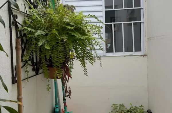 Casa para aluguel, Zona Central, Rio Claro - Foto 16