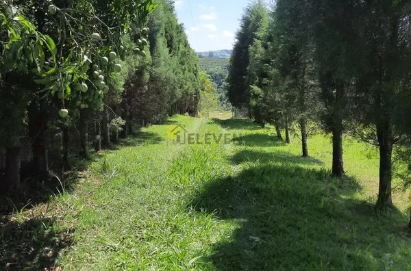 Sítio para venda,  Cidade Claret, Rio Claro