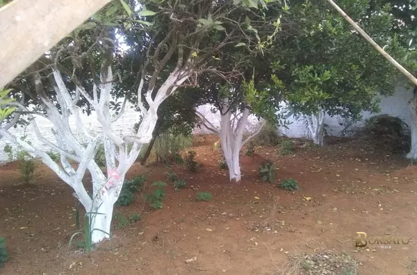 Casa  para Venda em  Uvaranas, Ponta Grossa R$250.000,00