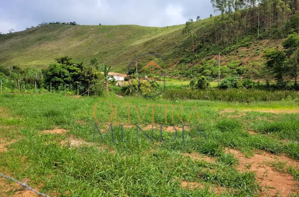 Terreno Loteamento Belém Belenzinho em Ewbank Da Câmara