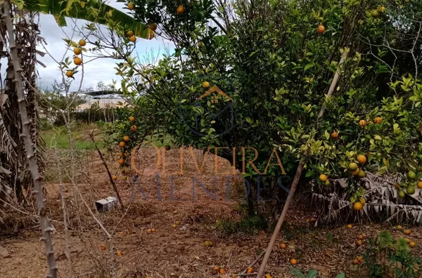 Terreno  para venda- Goianá/MG