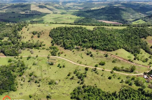 Sítio para venda em Bela Vista da Caroba 