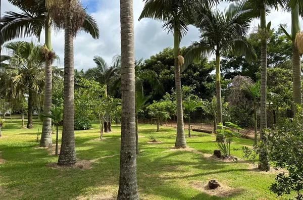 Amplo Terreno para venda próximo ao campo do Real