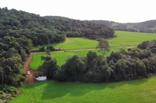 ÁREA RURAL À VENDA 7,85 ALQUEIRES - PRÓXIMO COMUNIDADE DA LINHA SÃO JORGE - REALEZA/PR