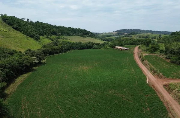 Sítio para venda com 20 alqueires no Lajeado Liso em Pérola Do Oeste