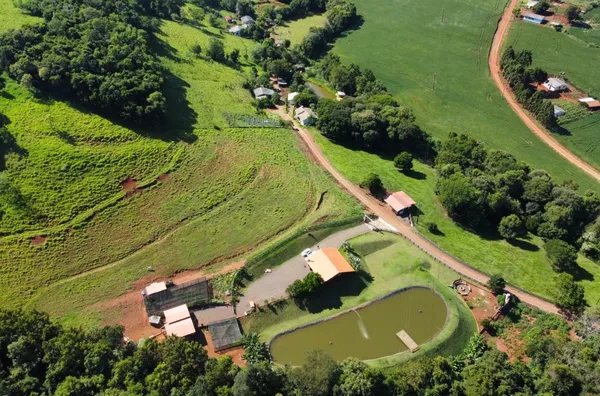 Sítio para venda porteira fechada - à 4 Km da cidade de Realeza/PR