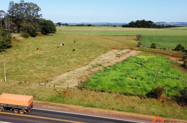 Terreno para venda de frente para Rodovia na Linha Sertaneja em Realeza