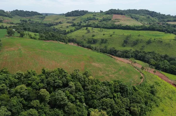 Sítio para venda com 20 alqueires no Lajeado Liso em Pérola Do Oeste