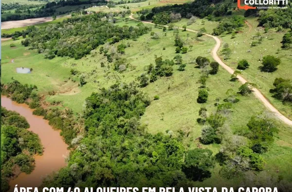 Sítio para venda em Bela Vista da Caroba 