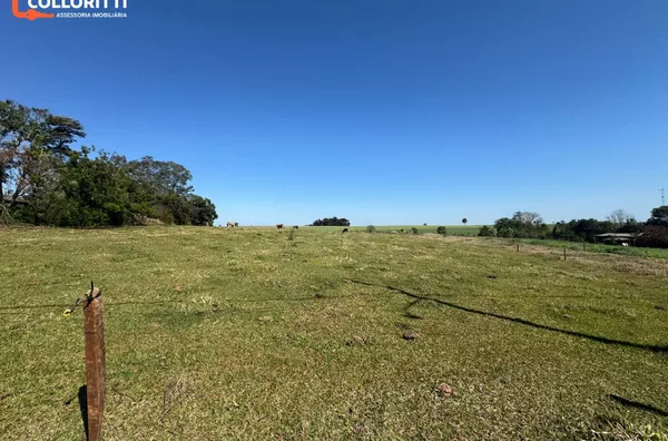 Terreno para venda de frente para Rodovia na Linha Sertaneja em Realeza