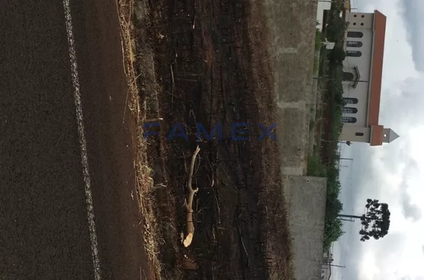 Terreno para venda,  Menino Deus, Pato Branco - Foto 3