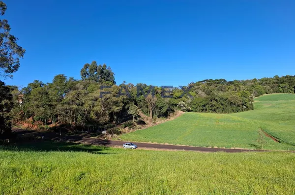 SÍTIO À VENDA COM 20.000M² PRÓXIMO A CIDADE DE PATO BRANCO